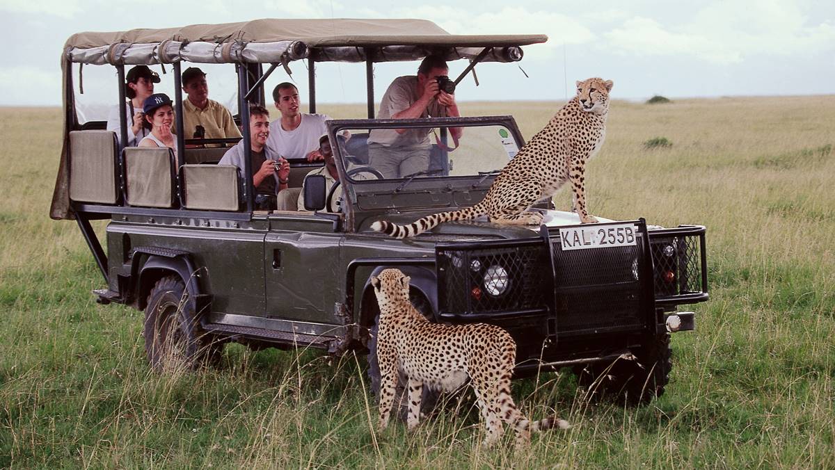 Masai Mara Exclusive Tours