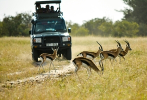 Masai Mara packages