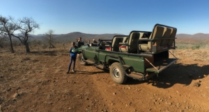 6-day Safari 