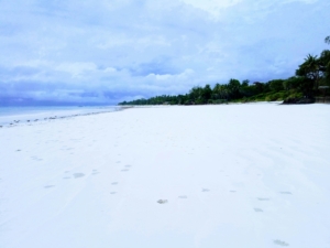 Diani beach Booking 