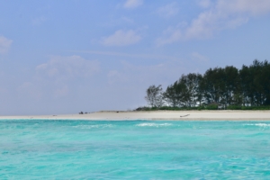 Diani Beach Booking 