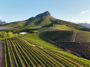Afrisun Tours and Travel
