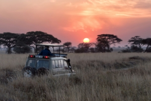 6 Days Safari Tanzania